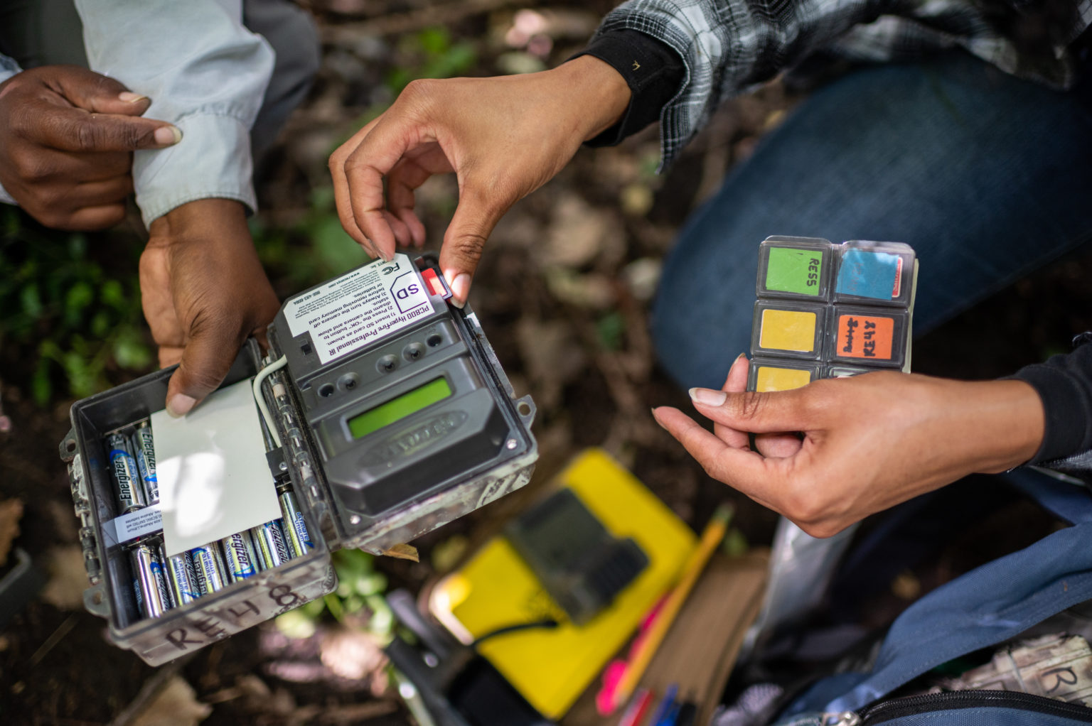 8/29/20 Nyeema Harris of EEB leads a study of wildlife in urban areas using a series of game cams placed around parks in Detroit. This is Michigan, Stories of our State.
